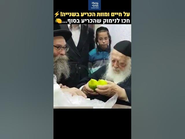 על שאלות של חיים ומוות הכריע בשנייה! | ההתלבטות הנדירה של רבי חיים קנייבסקי בבחירת אתרוג 🍋✨