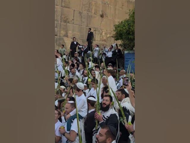 Thousands at Maarat Hamachpela for Shachris prayers, Tuesday Chol Hamoed Sukkot 2026