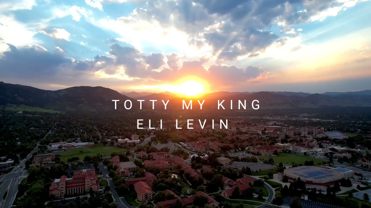 ELI LEVIN - Totty My King (Cover - Acapella) אלי לעווין