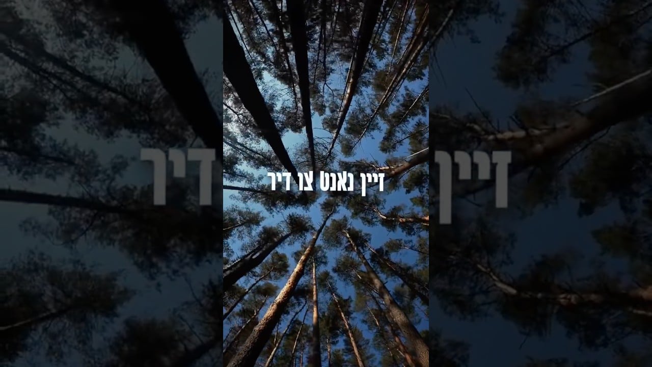 Di Beste Zach🤍 #ימיםנוראים #inspirationalmusic #connection
