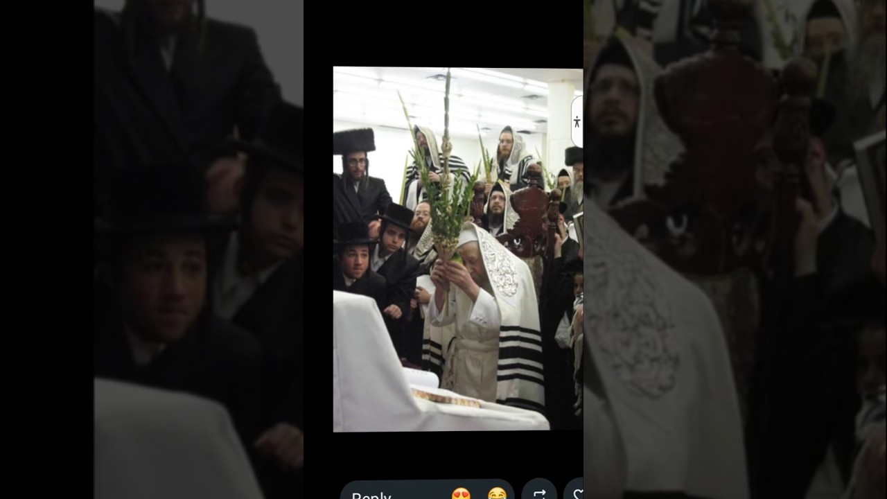 #viral #חגשמח #הרבי #טאש #קדוש  #אתרוג לולב #viralvideo