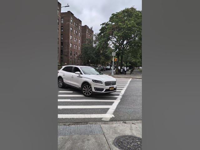 Bringing Lulu. & Esrog to Yidden on Ocean Pkwy cor 18 Ave- RC Dalfin