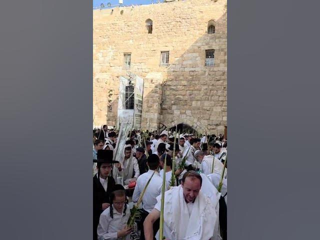 Thousands at Kotel Monday Morning Hallel Chol Hamoed Sukkot 2026