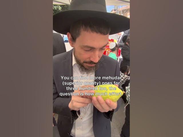 🍋💵😳🔯