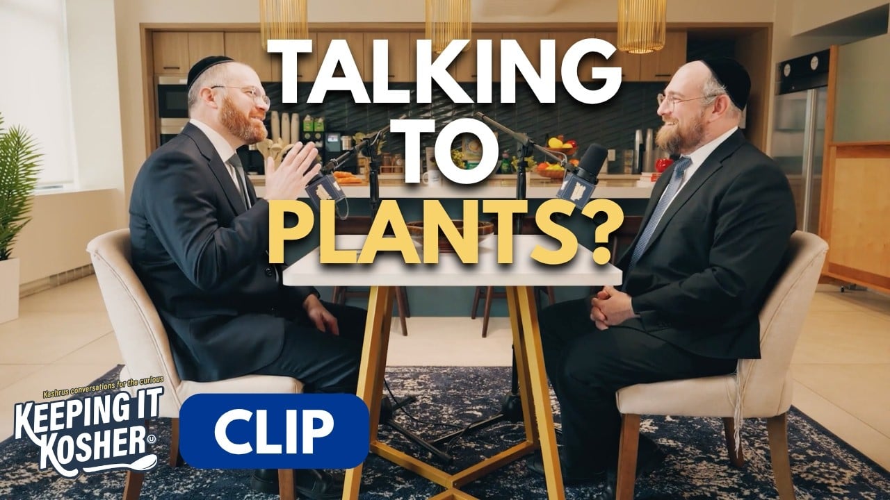 The Future of Produce - Keeping it Kosher Clips