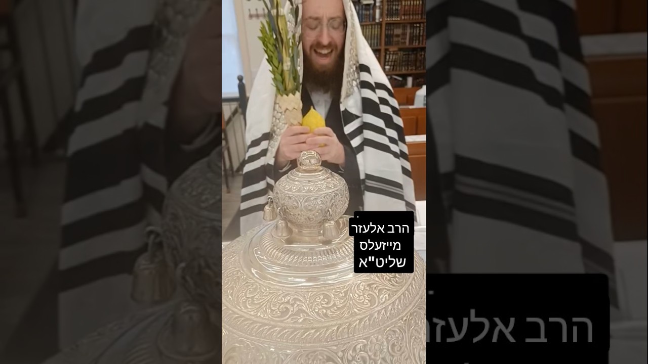הרב אלעזר מייזעלס שליט"א #סאטמאר #viral