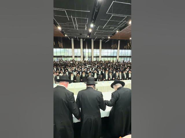 שרוליק רוזנטל & אליעזר כהן מרקידים אלפים 🔥🔥