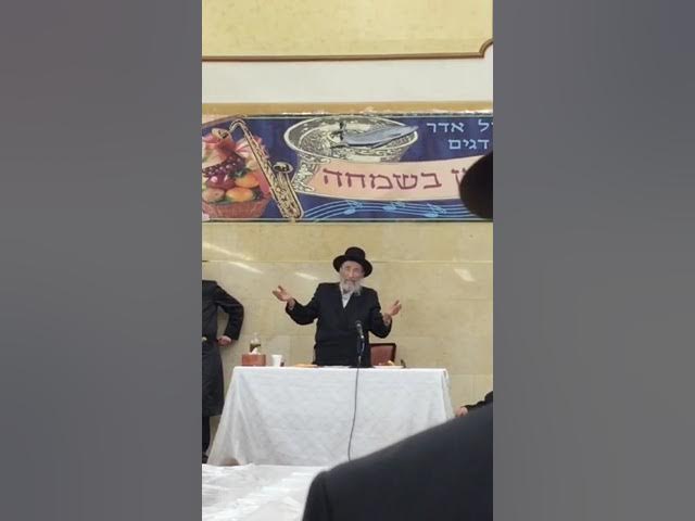 Rav Moshe Wolfson Zatzal - Shabbos iz Shein