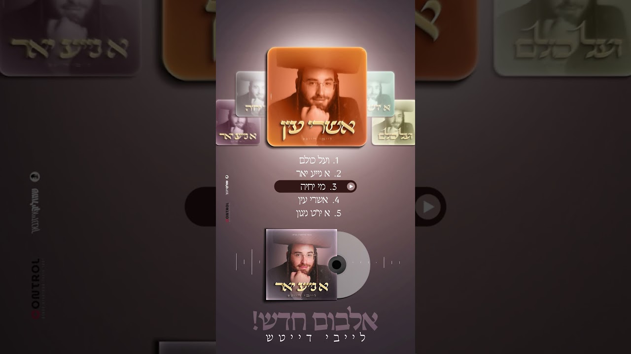 תקציר אלבום א נייע יאר - לייבי דייטש