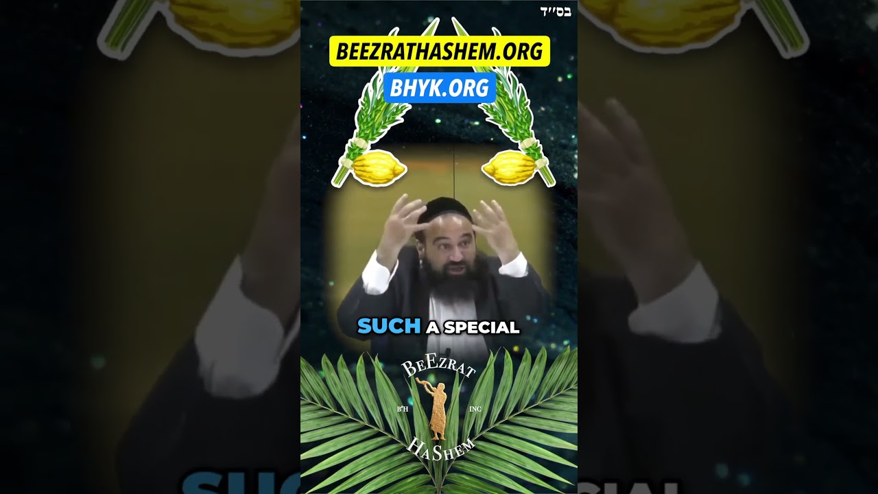 The Best Etrog and Lulav Ever For Sukkot