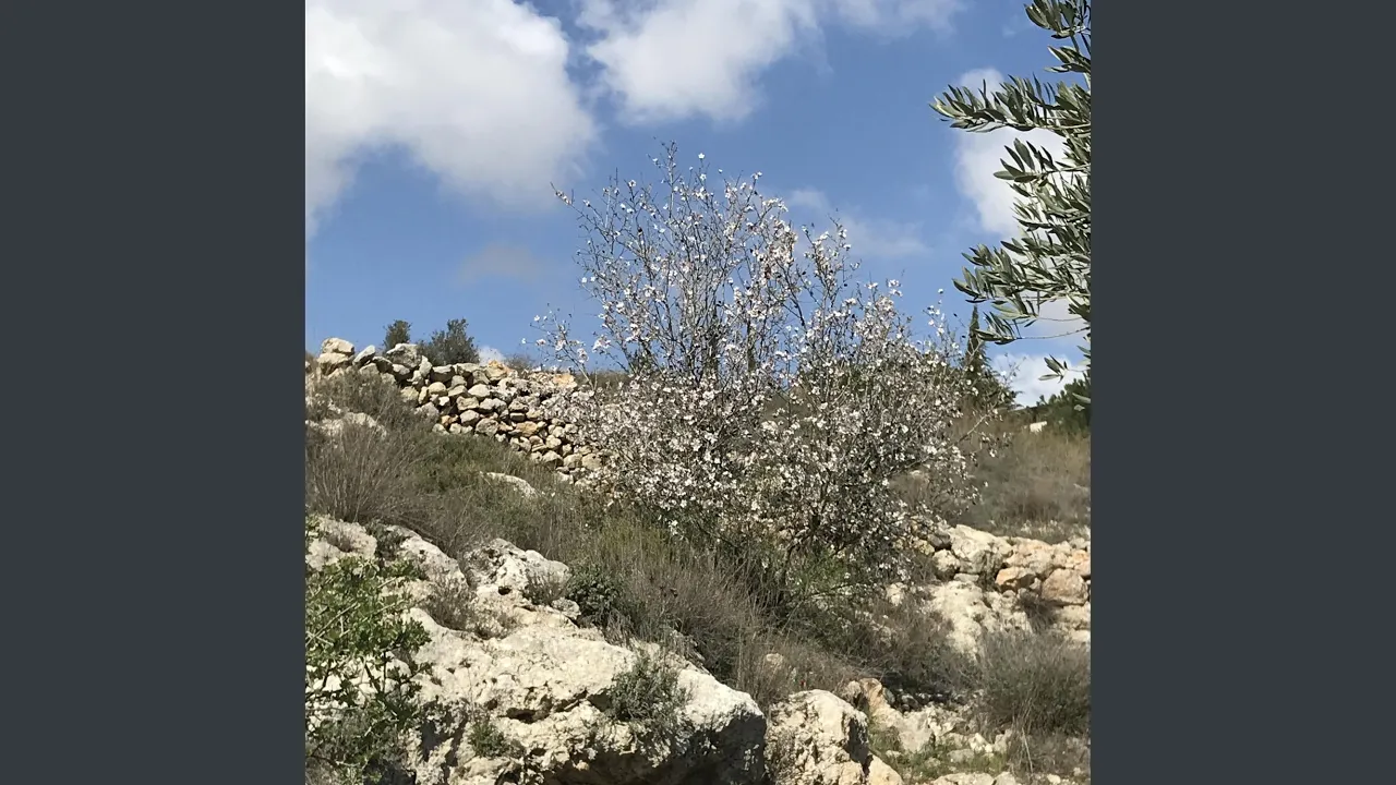 Shabbat Rosh Chodesh