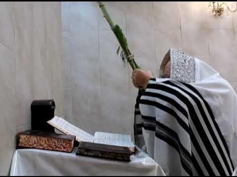 Nadvorna Banya Rebbe Nanuim Sukkos 5787