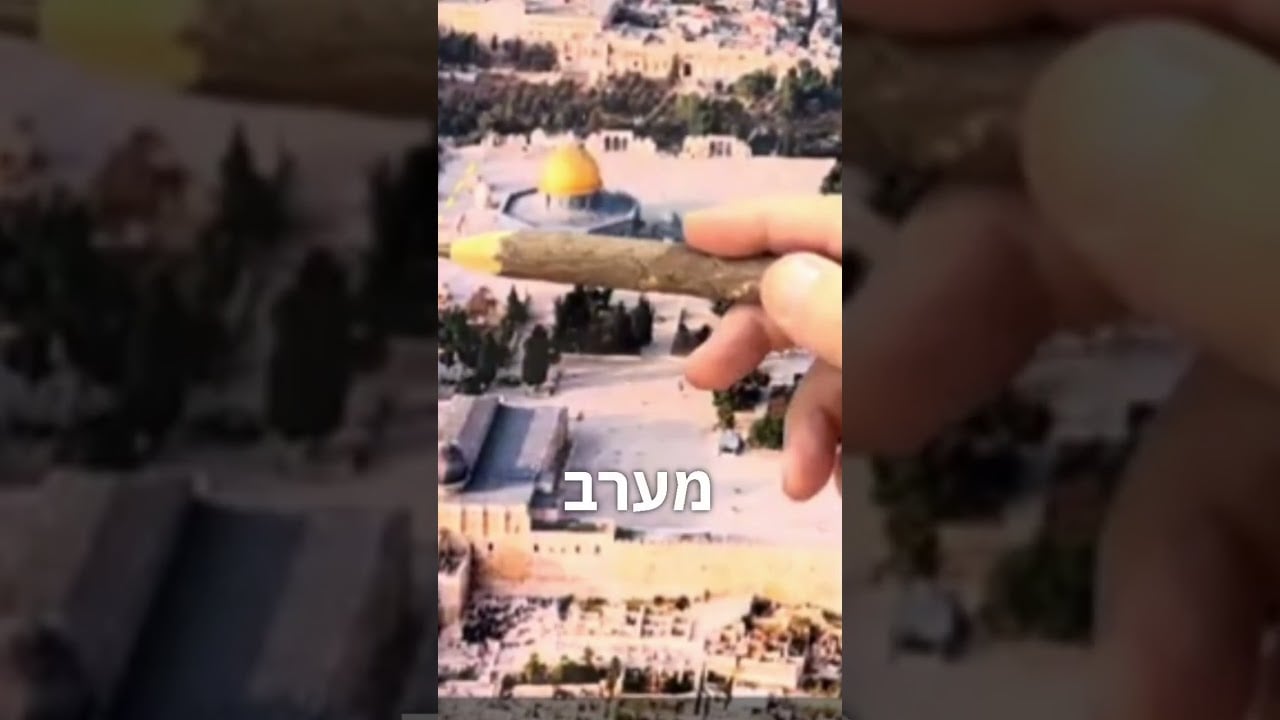 הרה״ג שמואל אליהו שליט״א משיב לרב יצחק יוסף: האם באמת העולים להר הבית בטהרה עוברים איסור?