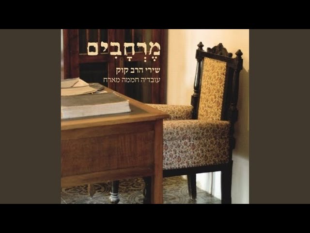 מעט מן האור