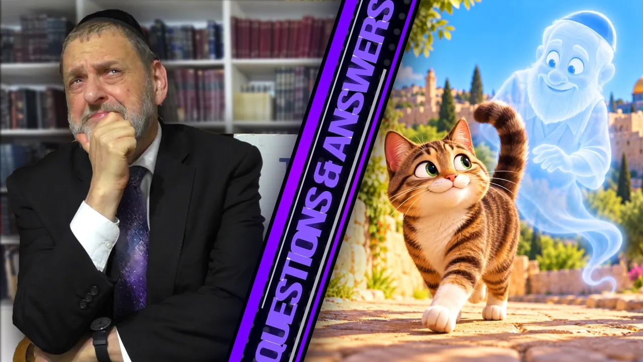 Are All Pets In Israel Gilgulim?