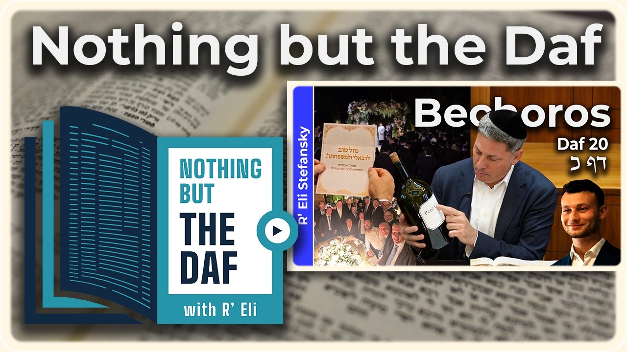 CHAZARAH - Bechoros Daf 20 | "Nothing but the Daf" with R' Eli Stefansky