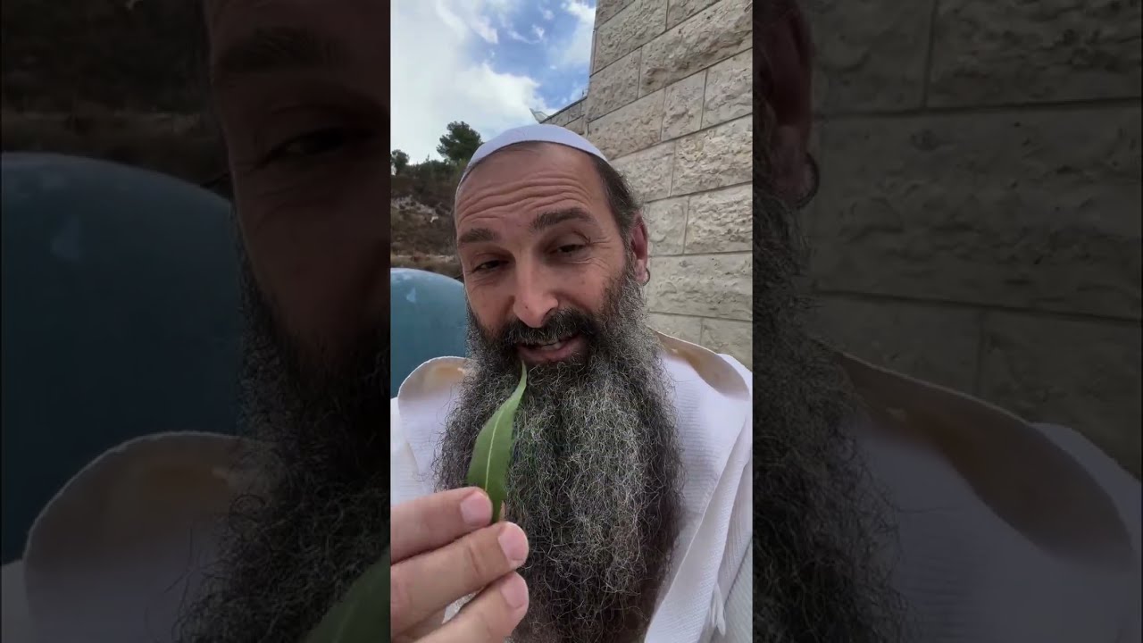 Secret power on Hoshana Rabbah to receive abundance of blessings this coming year! DO NOT miss this