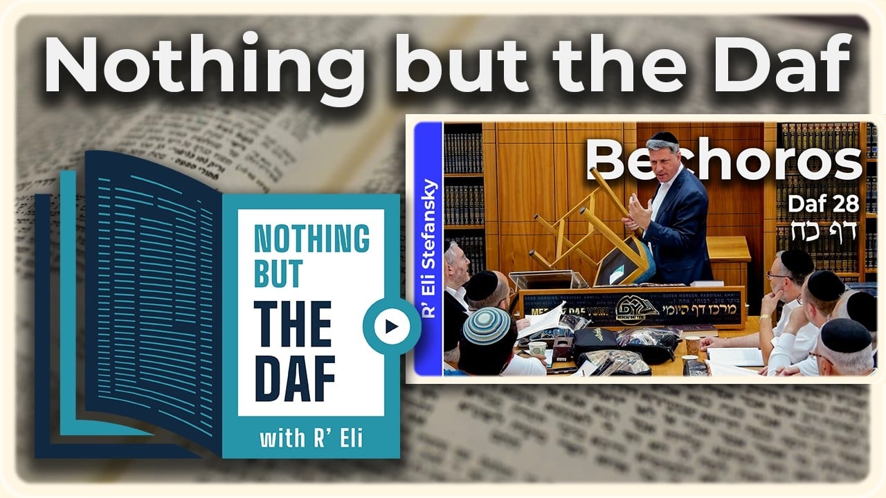 CHAZARAH - Bechoros Daf 28 | "Nothing but the Daf" with R' Eli Stefansky