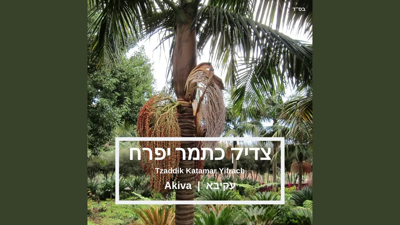 Tzaddik Katamar Yifrach
