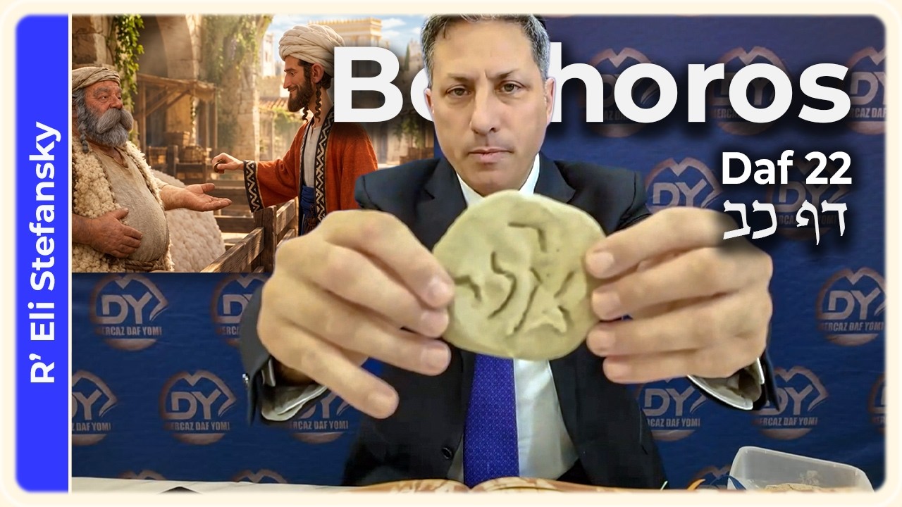 Daf Yomi Bechoros Daf 22 by R' Eli Stefansky
