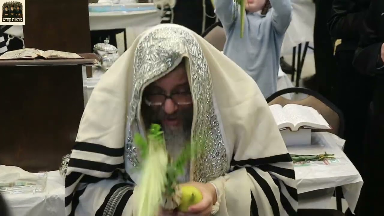חג הסוכות בחצר הקודש סקולען לעיקוואד תשפ"ז