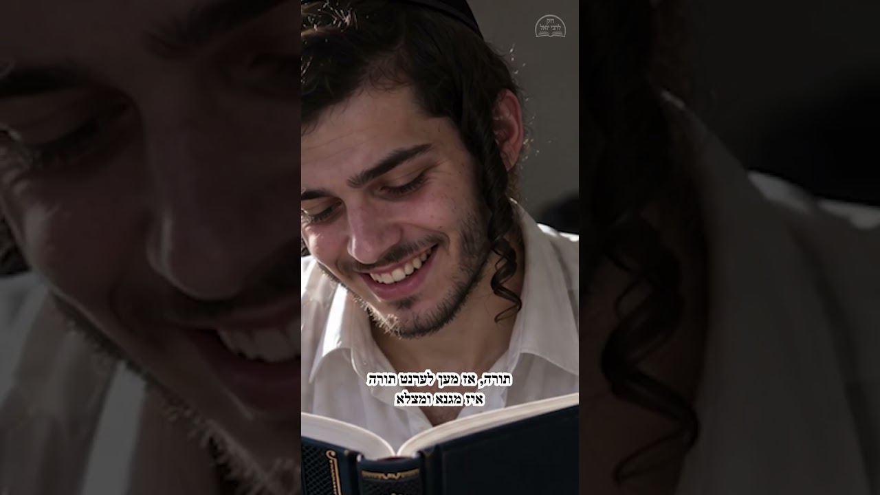 The Torah Protects You 🛡️