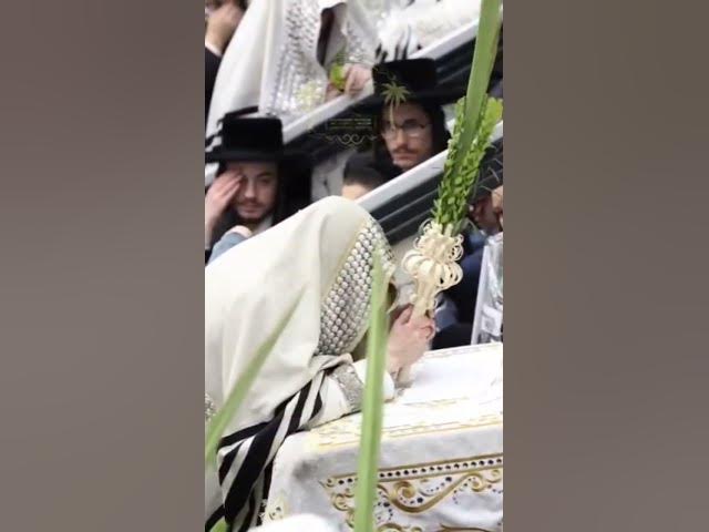 סאטמאר הושעה רבה #אהבתישראל