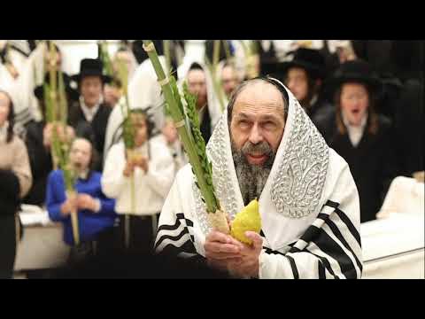 האדמו"ר מתולדות יהודה סטוטשין בעבודת הנענועים - תשפ״ז | Toldos Yehuda Stitchin - Na'aneim - 2026