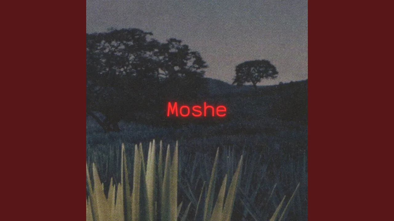 Moshe