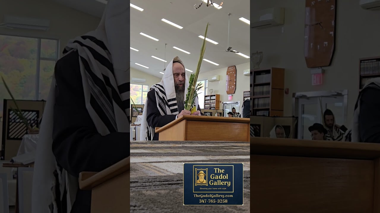 Rav Chaim Mintz - Shaking Lulav and Hoshanos - Mashgiach Staten Island Yeshiva, Oorah - Sukkos 5787