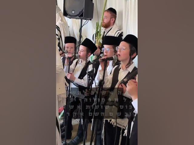 Lipa Schmeltzer, Chasidim'lech Children Choir - Chol Hamoed Sukkot 2026 in Jerusalem
