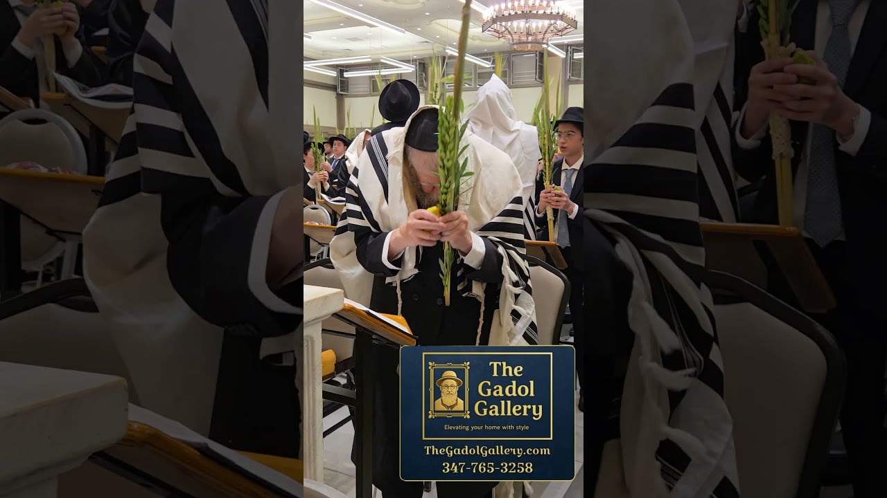 Rav Yisroel Neuman shaking Lulav and Esrog - Rosh Yeshiva Bais Medrash Govoha (BMG) - Sukkos 5787