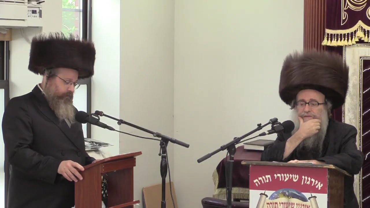 שאלות ותשובות במשנתו של בעל עמק התשובה - ר' משה רוטה שליט"א