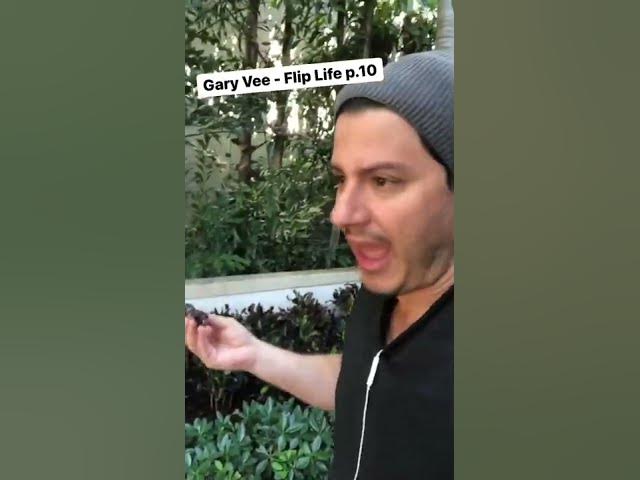 #garyvee Flips a Turd!!! #shorts #impressions #parody #comedy #garyvee #askgaryvee #impersonation