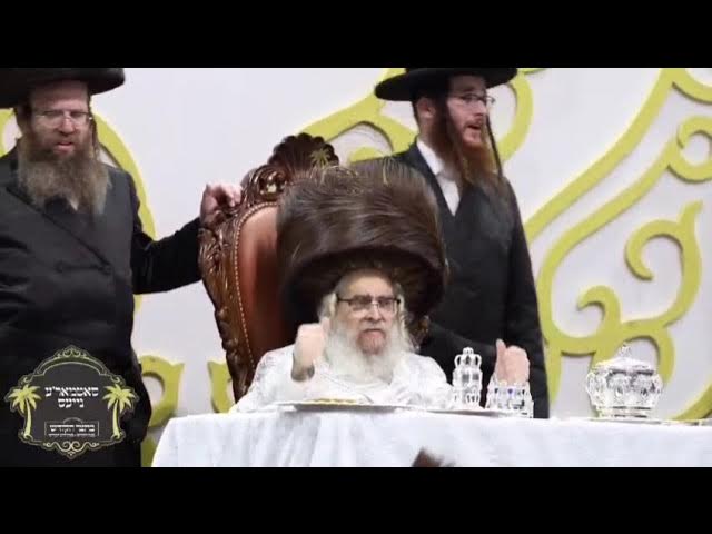 #סאטמאר #2026