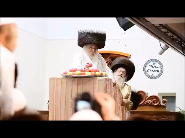 Apple Throwing Tish with Toldos Aharon Rebbe 5787 | ״עפל טיש״ בחצה״ק תולדות אהרן - מוצאי שמח״ת תשפ״ז