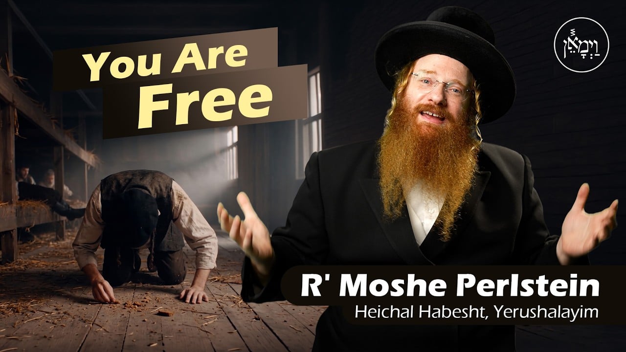 You are Free | Rabbi Moshe Perlstein