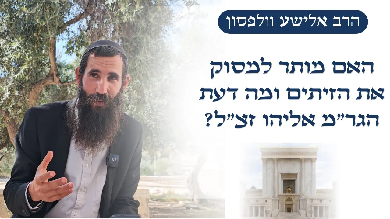 האם מותר למסוק את הזיתים ומה דעת הגר"מ אליהו זצ"ל | הרב אלישע וולפסון