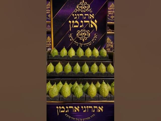 ultra Hasidic marriage be like