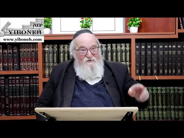 Law School - R. Yitzchak Breitowitz - TorahAnytime.com