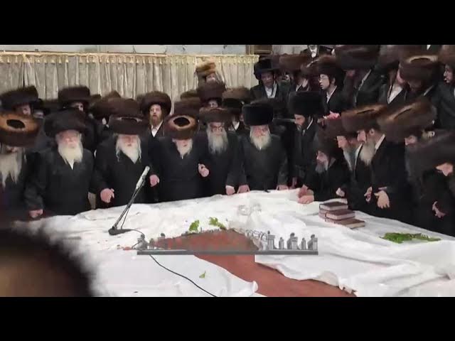 קשה עלי פרידתכם: מוצאי שמחת תורה בחצה"ק מכנובקא בעלזא תשפ"ז