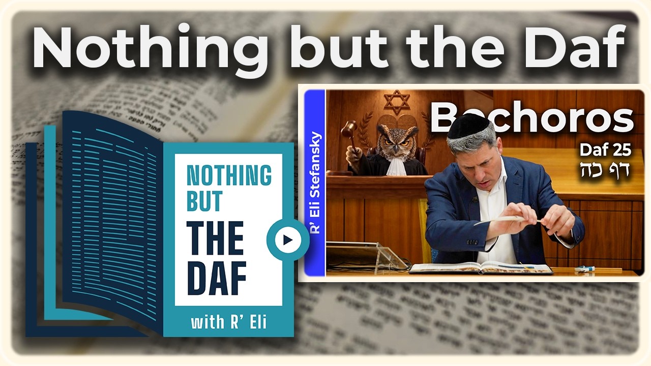 CHAZARAH - Bechoros Daf 25 | "Nothing but the Daf" with R' Eli Stefansky
