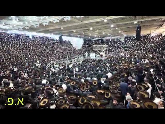הקפות שניות בחצה"ק צאנז