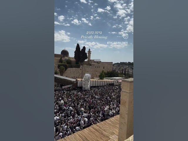 #viral #אהבתישראל כהנים כתל