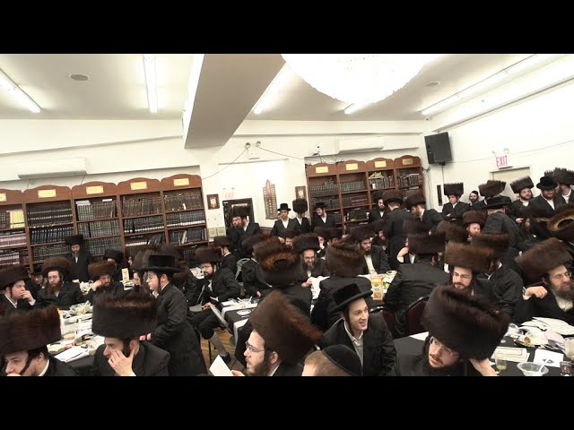 ר׳ יואל רוטה - רענט קאמפיין - מוצ׳׳ש תרומה תשפ׳׳ג - R' Yoel Roth