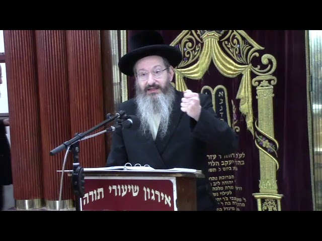 איסור השמעת קול בשבת  - הרב אברהם שפיצר