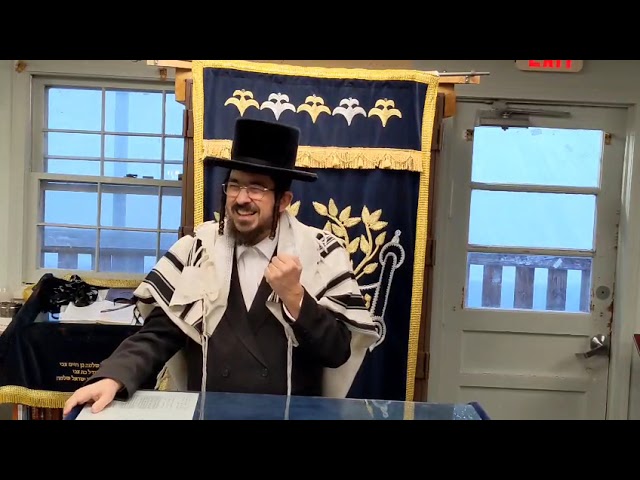 שידוך בזכות מצלמה מושתקת - Yiddish Shiur by Rav Benzion Sneh November 2