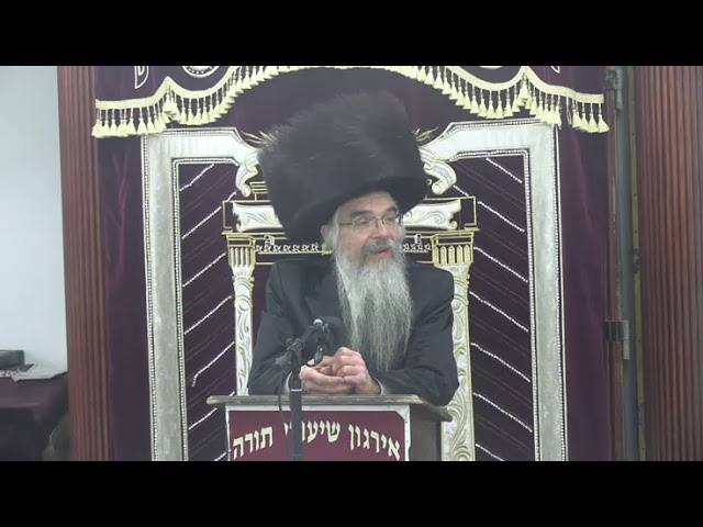 שאלות ותשובות וחידושים בהלכה - ר' אברהם חיים שטיינווארצעל שליט"א