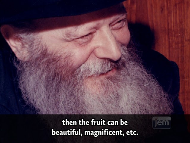 Incredible Conversation About Change | The Rebbe Speaks With a U.S Senator