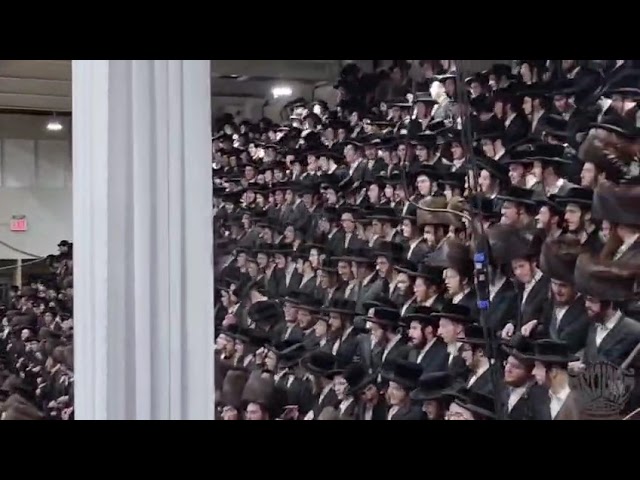 #סאטמאר #מזל טוב